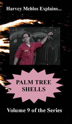 D8h - Palm Tree Shell DVD / Mehlos